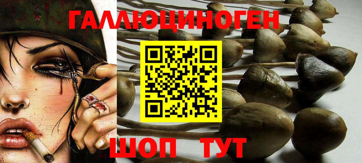 Ялта  Галлюциногенные грибы Psilocybine cubensis  Вход с VPN 